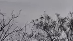 Los propietarios de la compañía Time Ceramics usaron maquinaria pesada para abrir pozos de agua, presuntamente de manera clandestina en el ejido de Emiliano Zapata, en el estado mexicano de Hidalgo.