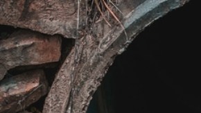 Las aguas residuales de Boston revelan aumento en los niveles de COVID-19