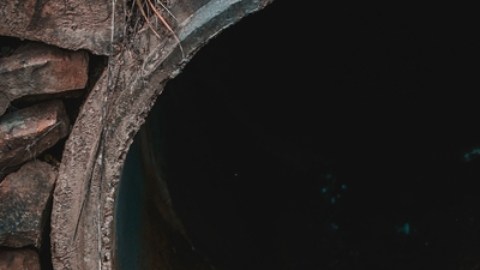 Las aguas residuales de Boston revelan aumento en los niveles de COVID-19