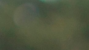 Menor muere y 8 migrantes resultan heridos por ataque armado al norte de México