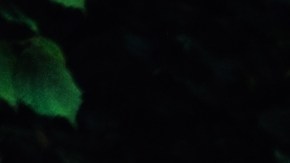 El color de tu aura puede revelar parte de tu personalidad.