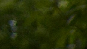 Familias de los 43 estudiantes de Ayotzinapa acusan a AMLO de encubrir la verdad