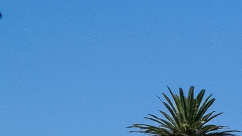 Un ciclista usa el nuevo carril de bicicletas protegidas en  Hollywood.