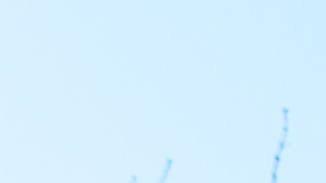 Niño muere dentro de castillo inflable que fue alzado por el viento en Maryland