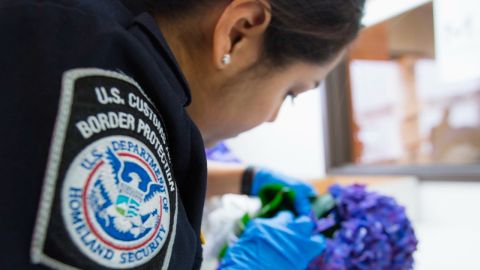 CBP pagará $45 millones de dólares tras demanda por marginar empleadas embarazadas