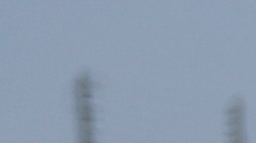 Corporaciones penitenciarias privadas, como GEO Group, CoreCivic, LaSalle Corrections y otras, han recibido miles de millones de los contratos con ICE.