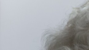 Tener ansiedad puede aumentar el riesgo de demencia: por qué