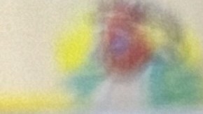 Se descubrió que los castores de peluche contenían paquetes de marihuana y éxtasis en la parada de tráfico en Texas.