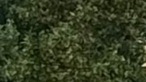 La causa de la explosión de la casa en Maryland está bajo investigación.