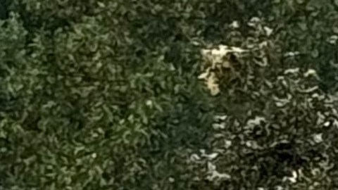 La causa de la explosión de la casa en Maryland está bajo investigación.