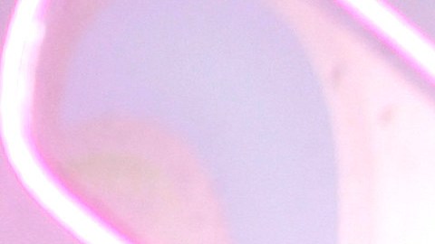 ¿Mamá de Gomita quiere que salga de la competencia?