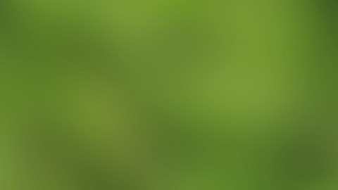 El horóscopo predice abundancia para 5 signos del zodiaco.
