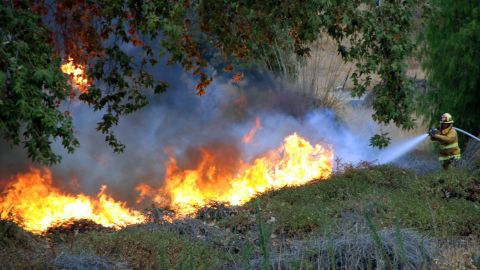 A firefighter works his hose line along the west flank of a fast moving fire that burned through a couple of acres of trees, brush and grass along the Hollywood freeway in the North Hollywood section of Los Angeles, on Monday Aug. 3, 2009. Los Angeles City Firefighter David Ortiz says four engines rushed to the fire where the blaze had burned less than an acre, but burning palm trees were producing dense smoke that is visible for miles. (AP Photo/Mike Meadows)