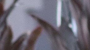 Migrantes podrán tramitar su cita de CBP One desde el sur de México y serán trasladados a sus citas por el gobierno de ese país.