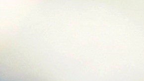 El incidente que involucra a la superintendente de policía de Nueva Orleans Anne Kirkpatrick sigue bajo investigación.