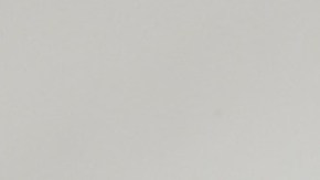 Drake Bell y Josh Peck