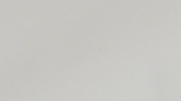 Drake Bell y Josh Peck