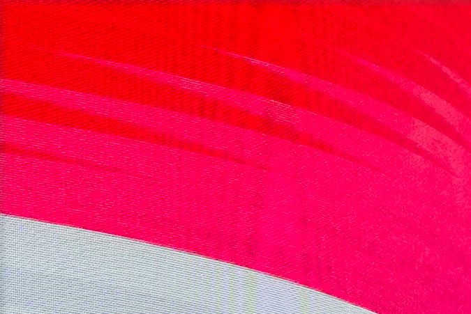 Kamala Harris hace aparición sorpresa antes del discurso principal de Biden en DNC