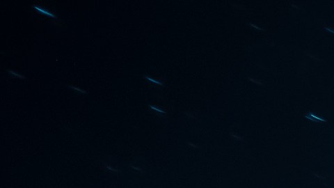 La luna llena de agosto influye en los 12 signos del zodiaco chino.