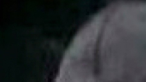 FGR México pedirá captura del hijo de “El Chapo” por secuestro de “El Mayo”