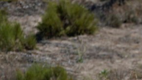 Migrantes en la frontera