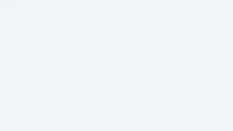 $2,250 para la persona que encuentre esta pequeña moneda del 2010