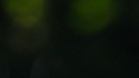 Fuerza Armada de Venezuela declara lealtad a Maduro