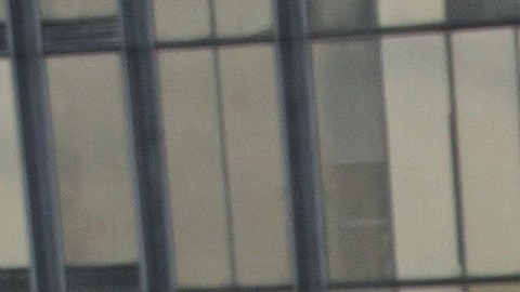 Niurka Marcos