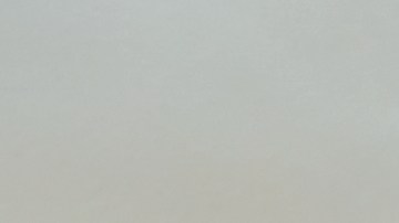 Las plantas afectan la energía de la casa, según el Feng Shui.