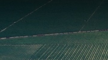 Prisión de Wasco en California.