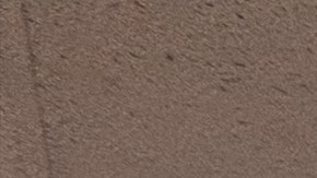 CHIRLA ofreció talleres información sobre el programa Parole del presidente Biden. (Fotos CHIRLA/Fermín Vazquez)