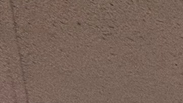 CHIRLA ofreció talleres información sobre el programa Parole del presidente Biden. (Fotos CHIRLA/Fermín Vazquez)