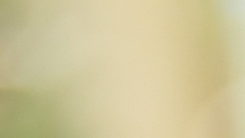 ¿Eres de las personas que siempre tiene el teléfono silenciado?