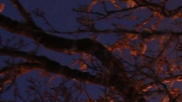 La casa no tenía detectores de humo en funcionamiento en el momento del incendio.