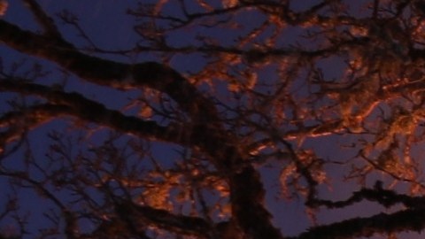 La casa no tenía detectores de humo en funcionamiento en el momento del incendio.