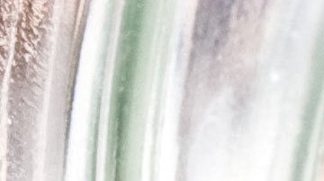 La moneda de 25 centavos de Frederick Douglass que vale hasta $750 dólares