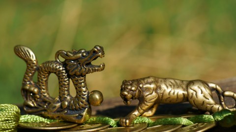 El Dragón y el Tigre son para la astrología china, de los signos más poderosos.
