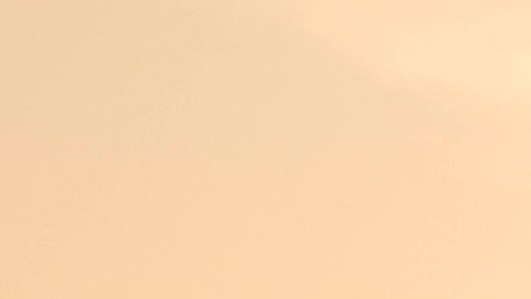 Con el Sol en Virgo, 4 signos tendrán más energía positiva, según predicciones astrológicas.