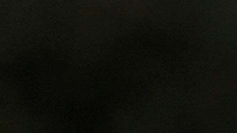 Estudio revela que latinos enfrentan disparidades raciales en participación y conteo de votos