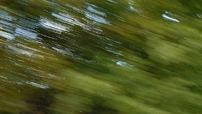 ¿Habrá un Ford Mustang de cuatro puertas