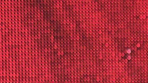 Chiquis Rivera Trino Marín