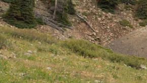 2024 Chevrolet Traverse RS características, precio y review