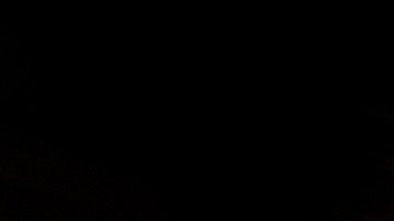 El argentino Franco Colapinto protagonizó una gran carrera este domingo en el Gran Premio de Singapur.