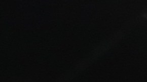 La Selección de Brasil, bajo el mando de Dorival Júnior, ya va por el cuarto puesto de las eliminatorias sudamericanas.