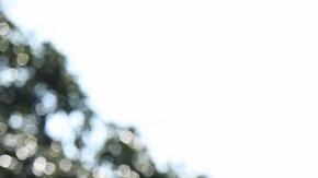 Biden dice que Netanyahu no hace suficiente por los rehenes