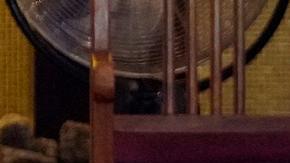 Papa: que "se oiga la voz de los pueblos que piden la paz"