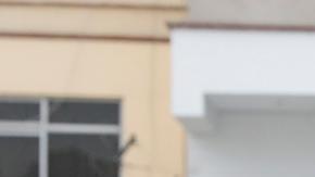 Gobierno de Perú coordina funerales de Fujimori