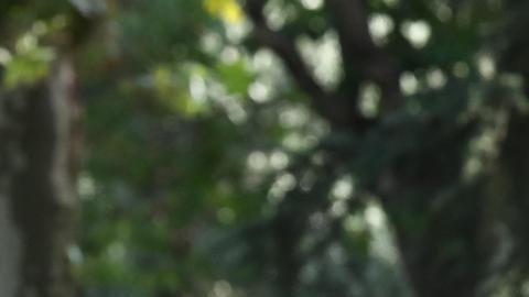 España desmiente que busque desestabilizar a Venezuela