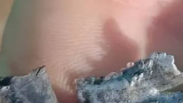 Hezbolá anuncia represalia por "masacre israelí" de bíperes