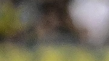 VILLARREAL, 22/09/2024.- El delantero del FC Barcelona, Lamine Yamal (i), conduce el balón ante el defensa del Villarreal, Sergi Cardona, durante el encuentro correspondiente a la sexta jornada de Laliga EA Sports que disputan hoy Domingo FC Barcelona y Villarreal en el estadio de La Cerámica, en la localidad castellonense. EFE / Andreu Esteba.